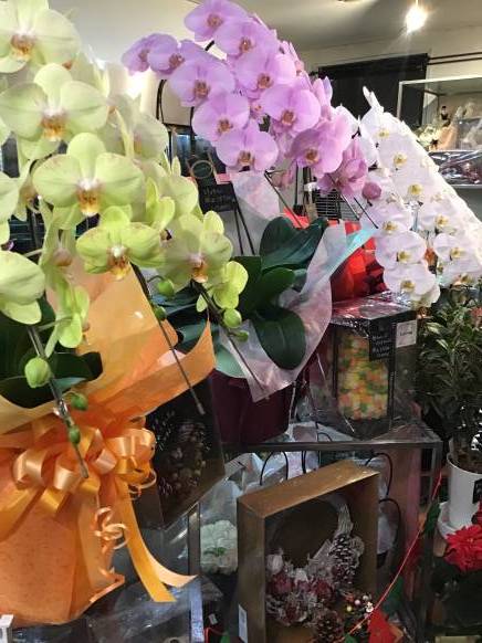「花の清花園」　（愛知県名古屋市北区）の花屋店舗写真4